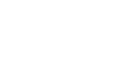 PETER HAHN Logo